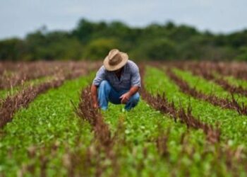 Empresas agroalimentarias aceptan en su totalidad el plan antiinflacionario de AMLO