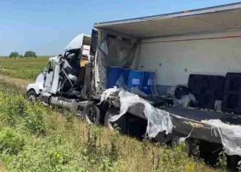 Encuentran cuatro toneladas de perros y gatos muertos en tráiler