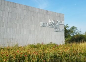 Resuelven litigio de muro privado construido durante gobierno de Trump