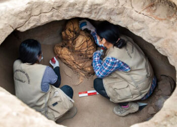 Descubre momias incas enterradas en su patio