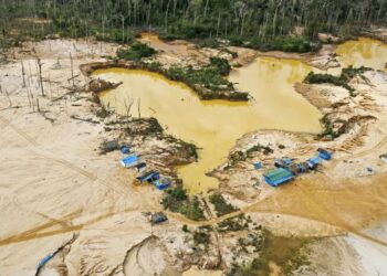 El veneno mexicano que intoxica el Amazonas