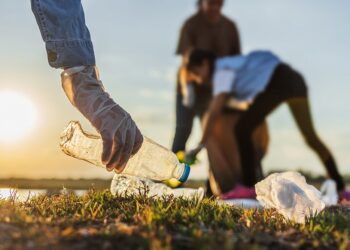 Economía circular estatal