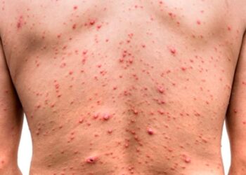 Los detienen con drogas y armas en Harlingen