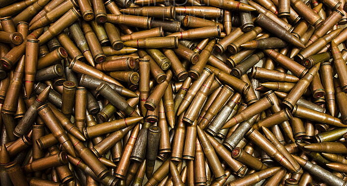 Confiscated and decommissioned poacher's bullets at park headquarters, Odzala-Kokoua National Park, Democratic Republic of the Congo