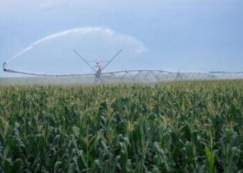 Por amenazas suspenden servicios en Sinagogas de Texas