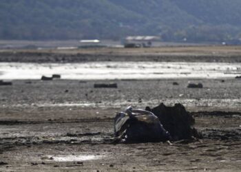 Adiós, presa Cerro Prieto