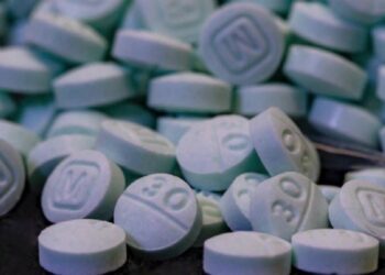 Cabeza de Vaca no entiende: Américo