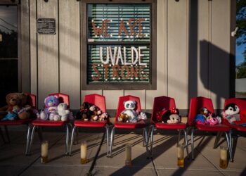 Cabeza de Vaca no entiende: Américo