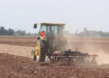 Poca agua en ríos de Tamaulipas