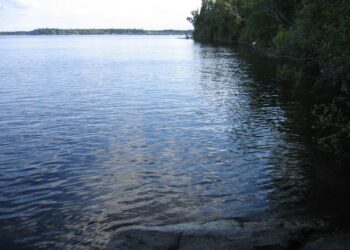 Multas de hasta 200 dólares si no se respeta horario de conservación de agua en Texas
