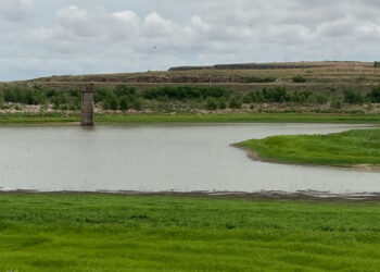 Por sequía emiten declaración de desastre 2 condados en Sur de Texas