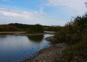 Por sequía emiten declaración de desastre 2 condados en Sur de Texas