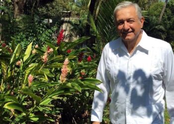 AMLO y: ¿su adiós anticipado…?
