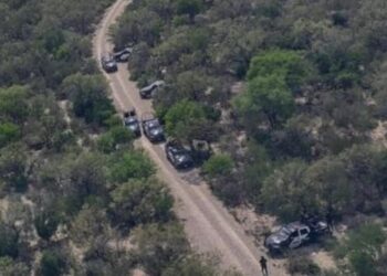 Desmantelan narcocampamento y mueren 2 sicarios en NL