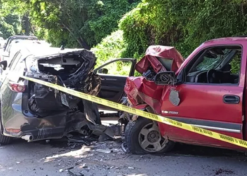 Se encuentran restos humanos al interior de vehículo