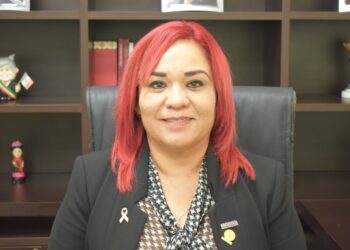 Morena se hizo con cascajos: Diputada Nancy Ruiz