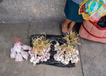 Valioso rescate federal 