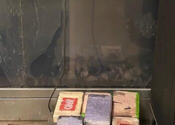 Decomisan 1MDD de fentanilo en Pharr