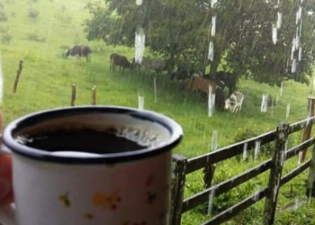 ¡Un café de Rancho Alegre!