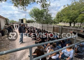 Pitazo descubre 84 migrantes