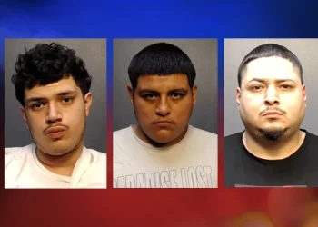 Desmantelan banda de robacoches en Brownsville