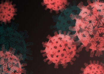 Perro del infierno, nueva variante Covid