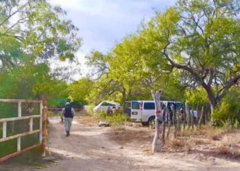 Encuentran restos óseos en Reynosa