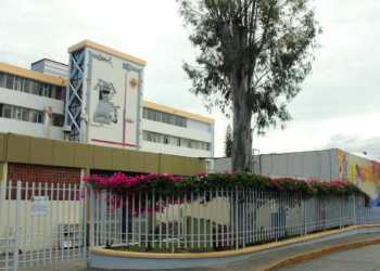 En Oaxaca muere menor por rabia