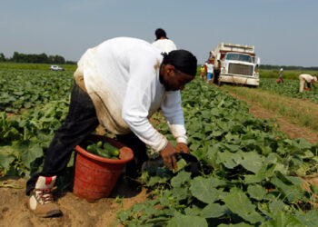 Insisten en reforma migratoria integral para 11.1 millones de personas en EU