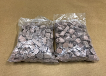 Sentencian a regias por contrabando de heroína en Texas