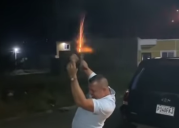 Hasta los animales sufrieron por locura de fin de año