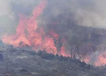 Lanza alerta Protección Civil por incendios forestales en Tamaulipas