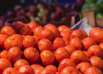 Próspera exportación agropecuaria