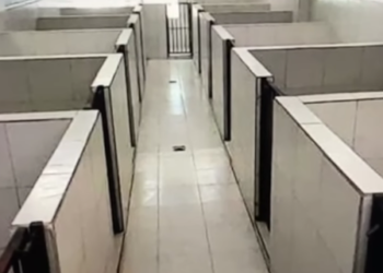 Criadero de perros es clausurado por la Secretaria de Medio Ambiente de NL