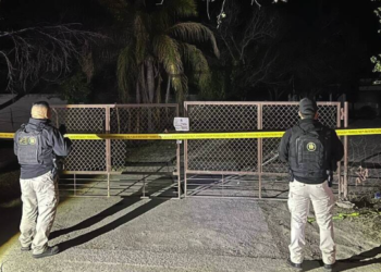 Aseguran, armas vehículos y droga en Los Ramones