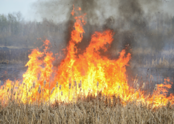 Servicio metereológico nacional de EU alerta por probabales incendios