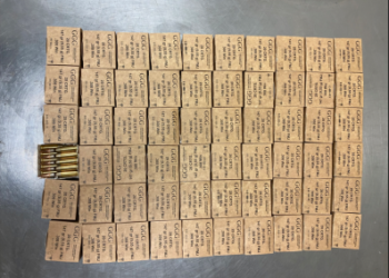 Municipios de NL interesados en energia eólica: CAMCOIN