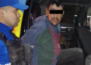 Máxima exportación agropecuaria 