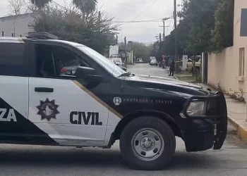 Máxima exportación agropecuaria 