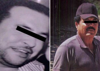 Capturan a Guadalupe Tapia, operador de El Mayo Zambada, en Sinaloa