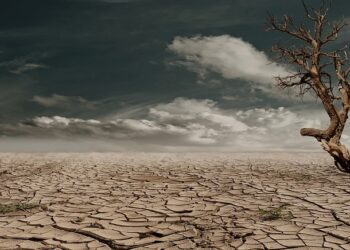 Bombardearán nubes para que llueva en Tamaulipas, ¿cuándo será ‘el ataque’?