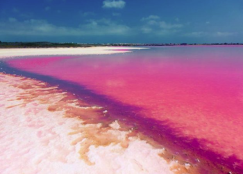 Laguna rosa en el norte de México, uno de los ‘secretos’ de Tamaulipas, ¿sabes cómo llegar?