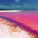 Laguna rosa en el norte de México, uno de los ‘secretos’ de Tamaulipas, ¿sabes cómo llegar?