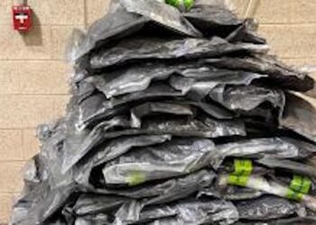 Texas: decomisan 7 MDD en droga