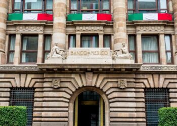 Investigadores verano 2023