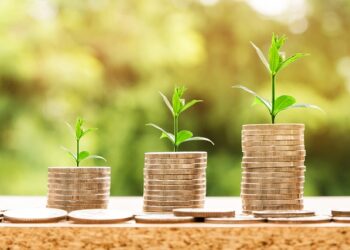 Mayor ocupación México