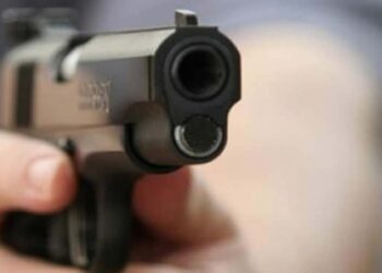 Una niña de tres años mata a su hermana de un disparo&nbsp;