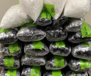 Incautan meta en puente Hidalgo-Reynosa