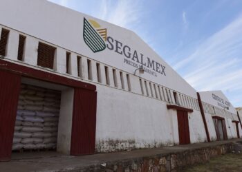 Detienen a otro directivo de Segalmex por desfalco de 142 millones de pesos