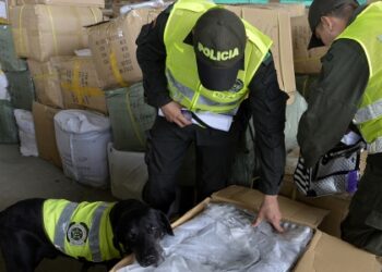 Realizan 14,260 arrestos por tráfico de armas en AL: Interpol
